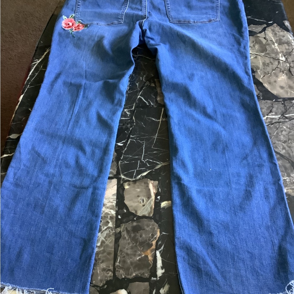 Pioneer Woman Ree distressed hem embroidered rose jeans size 2X